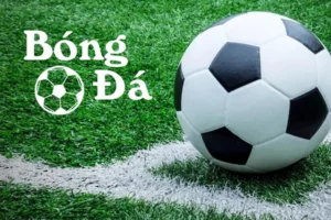 Cách Phân Biệt Bóng Trong Cuộc Và Bóng Ngoài Cuộc Theo Quy Định FIFA