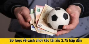 Tìm Hiểu Về Tỉ Lệ Kèo 2.75 Trong Các Trận Cầu Lớn