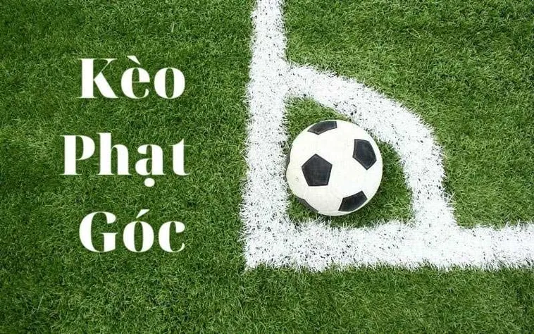 Cách Đọc Kèo Phạt Góc Bóng Đá Dựa Trên Dữ Liệu Tấn Công