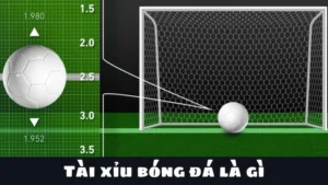 Chiến Thuật Phân Tích Kèo Tài Xỉu Bóng Đá Đỉnh Cao Cho Người Mới