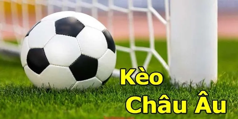 Cách Chơi Kèo Châu Âu Hiệu Quả Dành Cho Người Mới Bắt Đầu