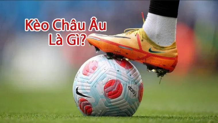 Cách Chơi Kèo Châu Âu Hiệu Quả Dành Cho Người Mới Bắt Đầu