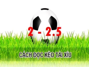 Hướng Dẫn Cách Đọc Và Phân Tích Kèo 2.25 Hiệu Quả Nhất Cho Người Mới