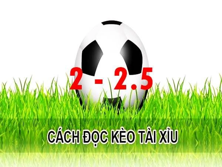 Hướng Dẫn Cách Đọc Và Phân Tích Kèo 2.25 Hiệu Quả Nhất Cho Người Mới