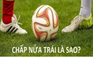 Cách Chơi Kèo Chấp 0.5 Hiệu Quả Dựa Trên Số Liệu Thực Tế