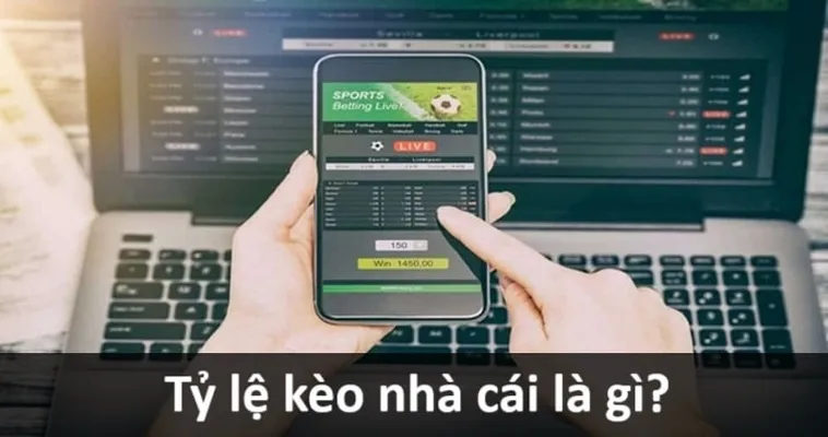 Hướng Dẫn Cách Xem Kèo Bóng Đá Chuyên Nghiệp Nhất Hiện Nay