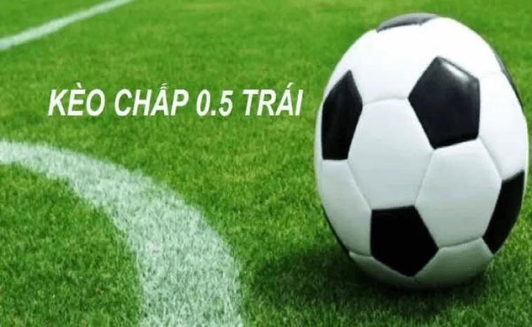 Cách Chơi Kèo Chấp 0.5 Hiệu Quả Dựa Trên Số Liệu Thực Tế
