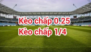 Cách Chơi Kèo Chấp 0.25 Chi Tiết Cho Người Mới Bắt Đầu